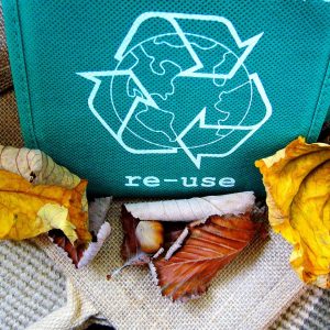 reciclezi gunoiul în mod eficient